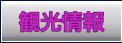 観光情報