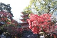 竹林寺の五重塔の写真