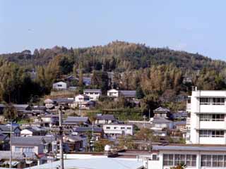 朝倉城跡の画像