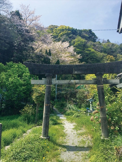 4月号写真