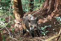2025年11月号写真