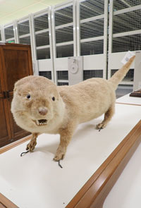 2026年1月号写真