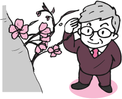 仙台屋（せんだいや）桜