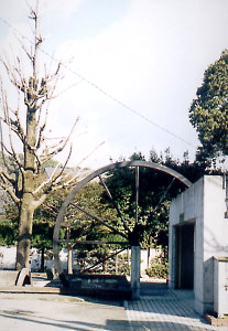 �Ԑ��������ɂ��鐅�Ԃ̃��j�������g