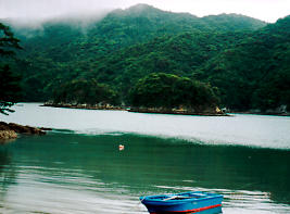 �ߍ��p���̓�q���i���������򒬁j