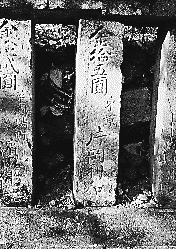 ���]�V���{�̋ʊ_