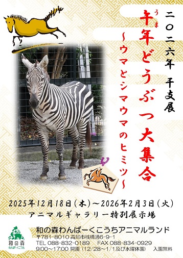 2026�N���x�W�̃|�X�^�[