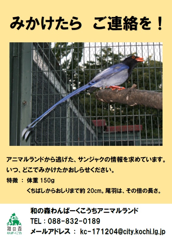 �T���W���N�̏�񋁂߂�|�X�^�[