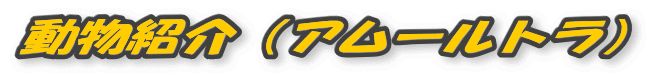 ЉiA[gj