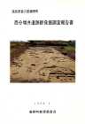 西分増井遺跡群発掘調査報告書