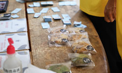 VR体験に並ぶお客様