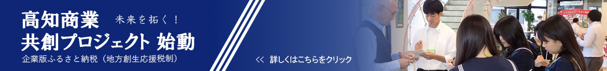 企業版ふるさと納税（地方創生応援税制）について