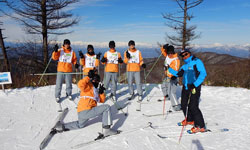 スキー研修の様子