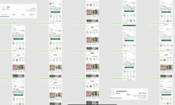 フィールドワークの様子