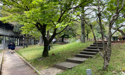 フィールドワークの様子