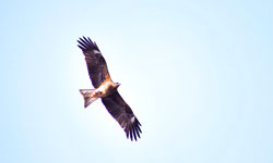 フィールドワークの様子