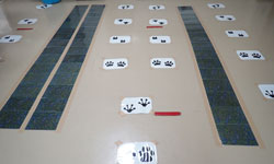 社マネ＿活動の様子