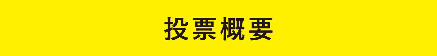 ボタン：投票概要へ移動