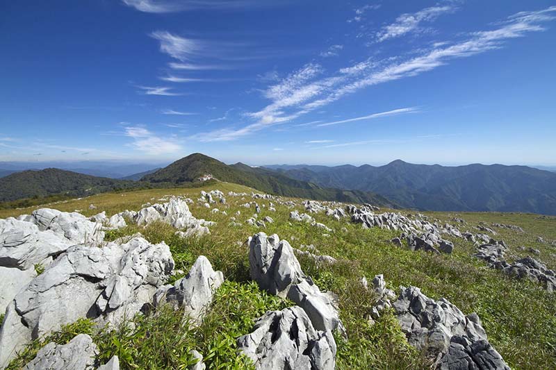 津野町