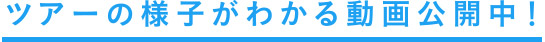 ツアーの様子がわかる動画公開中！