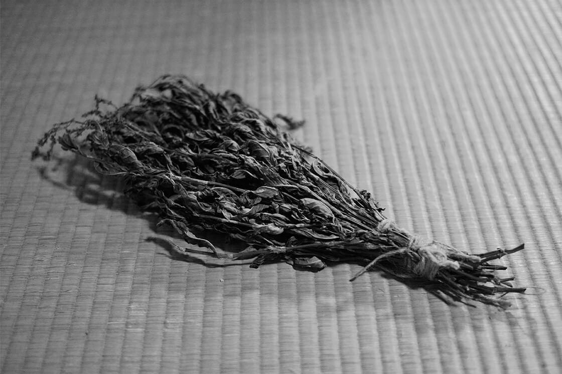 Indigo dye 藍染の職人