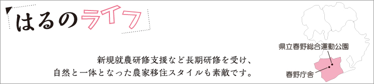 はるのライフ はるのライフ