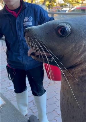 (部門5-5)桂浜水族館 (部門5-5)桂浜水族館