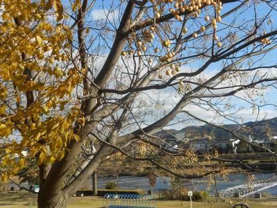 鏡川の風景