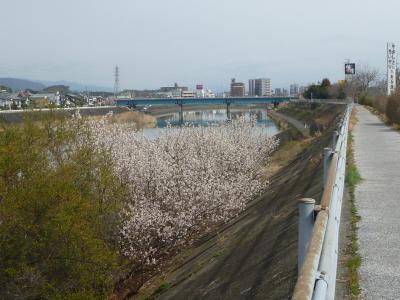 鏡川中流域