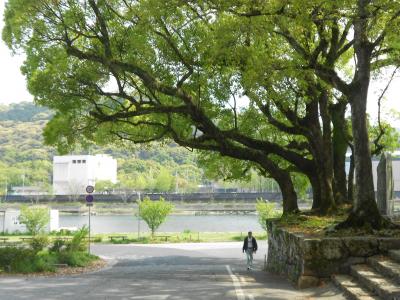 鏡川河畔へ