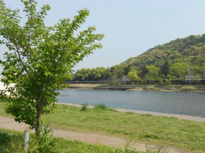 鏡川河畔