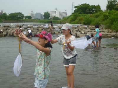 水生生物採取