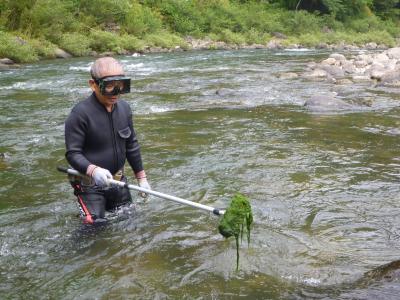 除草作業