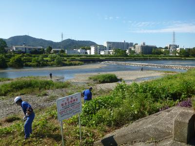 河川敷草刈り