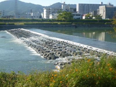 トリム堰