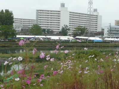 鏡川緑地公園イベント