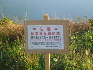 産卵場の保護