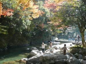 もみじと鏡川