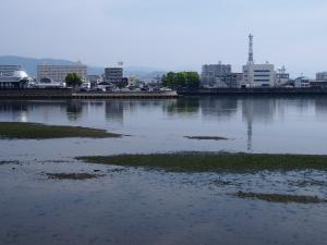 中の島突堤