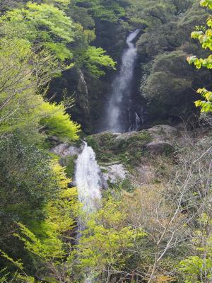 平家の滝