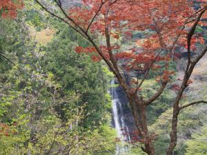 山姥の滝