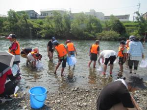 生き物さがし