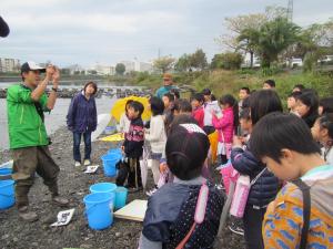 アユの卵観察中