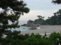 松の間から竜王岬を見る写真