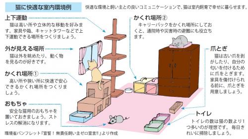 室内飼い