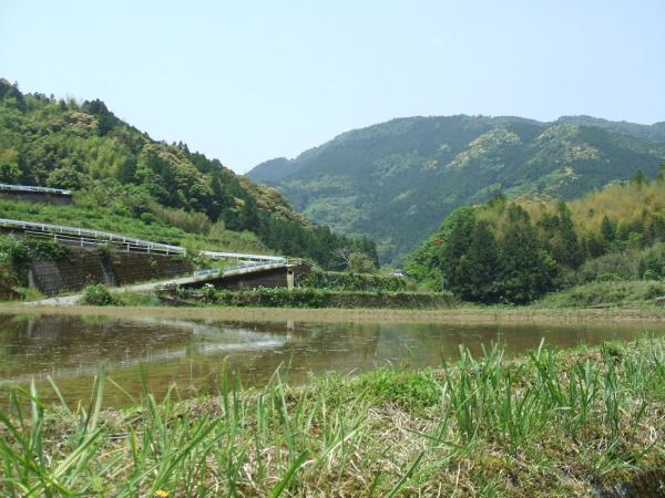 梅ノ木地区の風景です。