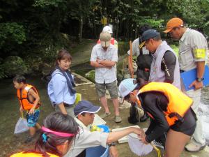 生き物の観察をしている写真です