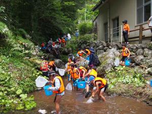 上流域での生きもの採取の写真です