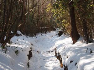 雪の積もった山道の写真です