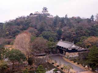 高知城跡の画像